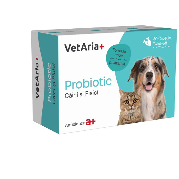 VetAria+ Probiotic, cutie 30 capsule